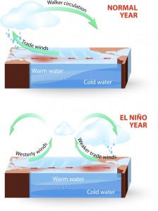 Climate Change