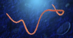 Ebola